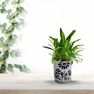 HI TECH Sales Indoor Decorative Potted Green Plant with Hand-Painted Black Floral Ceramic Pot – Ideal for Home,Gardening,Office, and Gifting