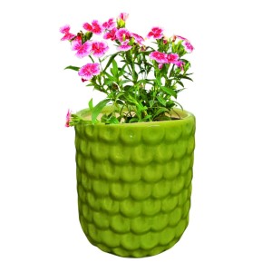 Green Ceramic Plant Pot for Indoor Plants | Decorative Textured Flower Planter for Home, Office & Tabletop Decor (only Pot)
