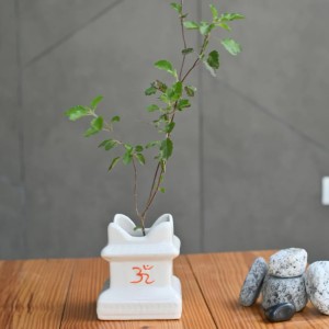 HI TECH Sales Tulsi Ceramic Mandir | Traditional Tulsi Plant Pot with Om & Swastik Symbols | Sacred Hindu Planter for Home & Temple Use(White)