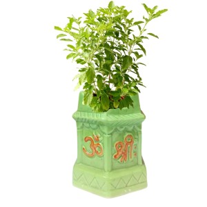 Tulsi Planter Garden Decorative Pot Ghamla for Home Outdoor Indoor Balcony Terrace Decoration. (Green)