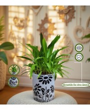 HI TECH Sales Indoor Decorative Potted Green Plant with Hand-Painted Black Floral Ceramic Pot – Ideal for Home,Gardening,Office, and Gifting