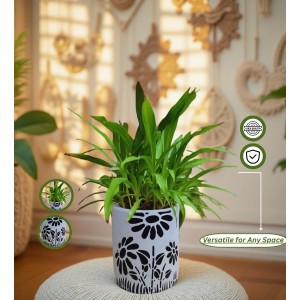 HI TECH Sales Indoor Decorative Potted Green Plant with Hand-Painted Black Floral Ceramic Pot – Ideal for Home,Gardening,Office, and Gifting