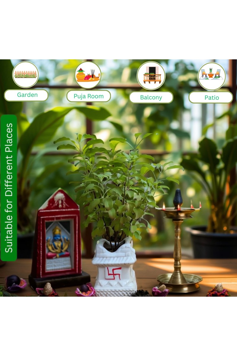 Hi Tech Sales Ceramic Tulsi Mandir | Traditional Planter Pot with Om & Swastik Symbols | Sacred Hindu Tulsi Planter for Home & Temple Use (White)