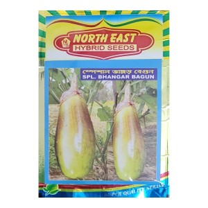 Hybrid Seeds Brinjal Bhangar Seeds Desi Brinjal Seeds Special Bhangar Begun Seed Vangar Bengan Seeds