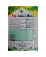Lal Shak Seeds Red Amaranth Spinach Jabakusum Seeds Lal Shak Seeds Red Amaranth Spinach Jabakusum Seeds
