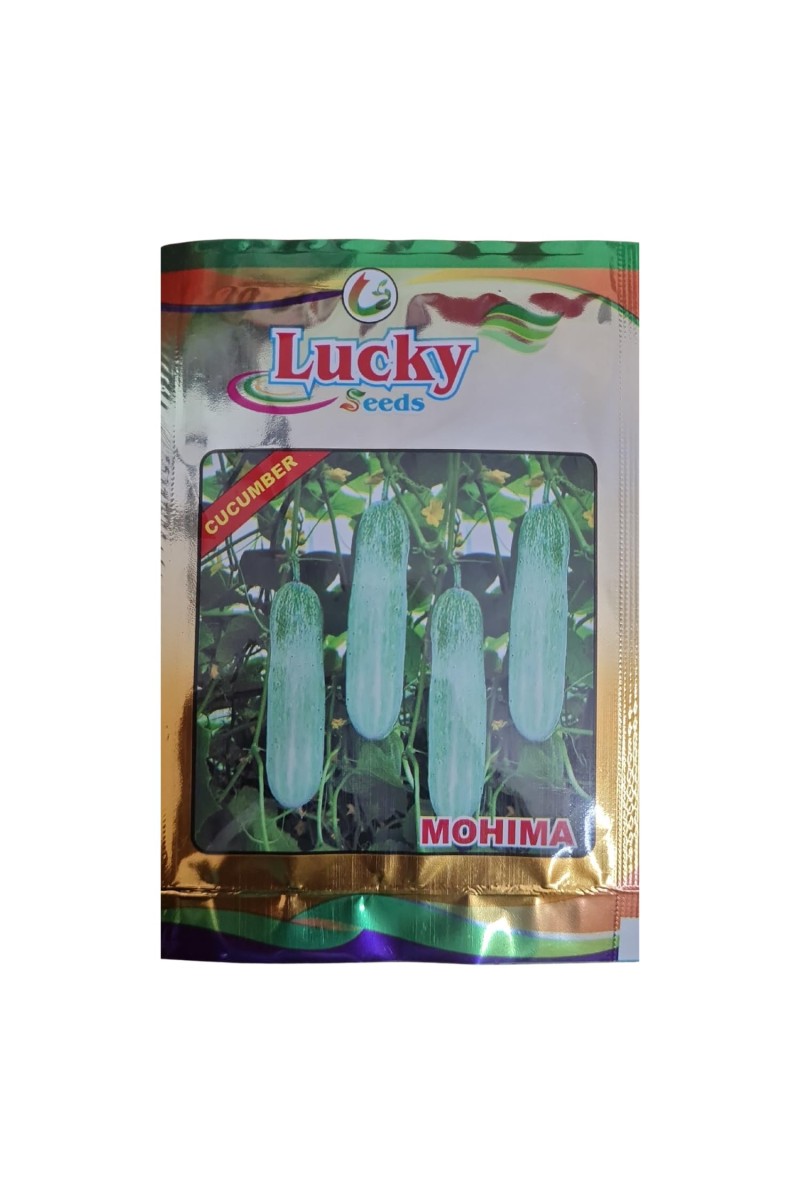 Cucumber Seeds