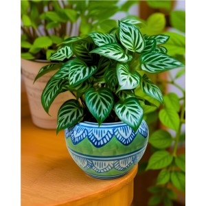 HI TECH Sales Hand-Painted Ceramic Flower Pot Decorative Tabletop Planter for Home & Office | Ethnic Pot Design | Ready-to-Display Indoor Plant Decor