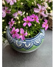 HI TECH Sales Hand-Painted Ceramic Flower Pot Decorative Tabletop Planter for Home & Office | Ethnic Pot Design | Ready-to-Display Indoor Plant Decor