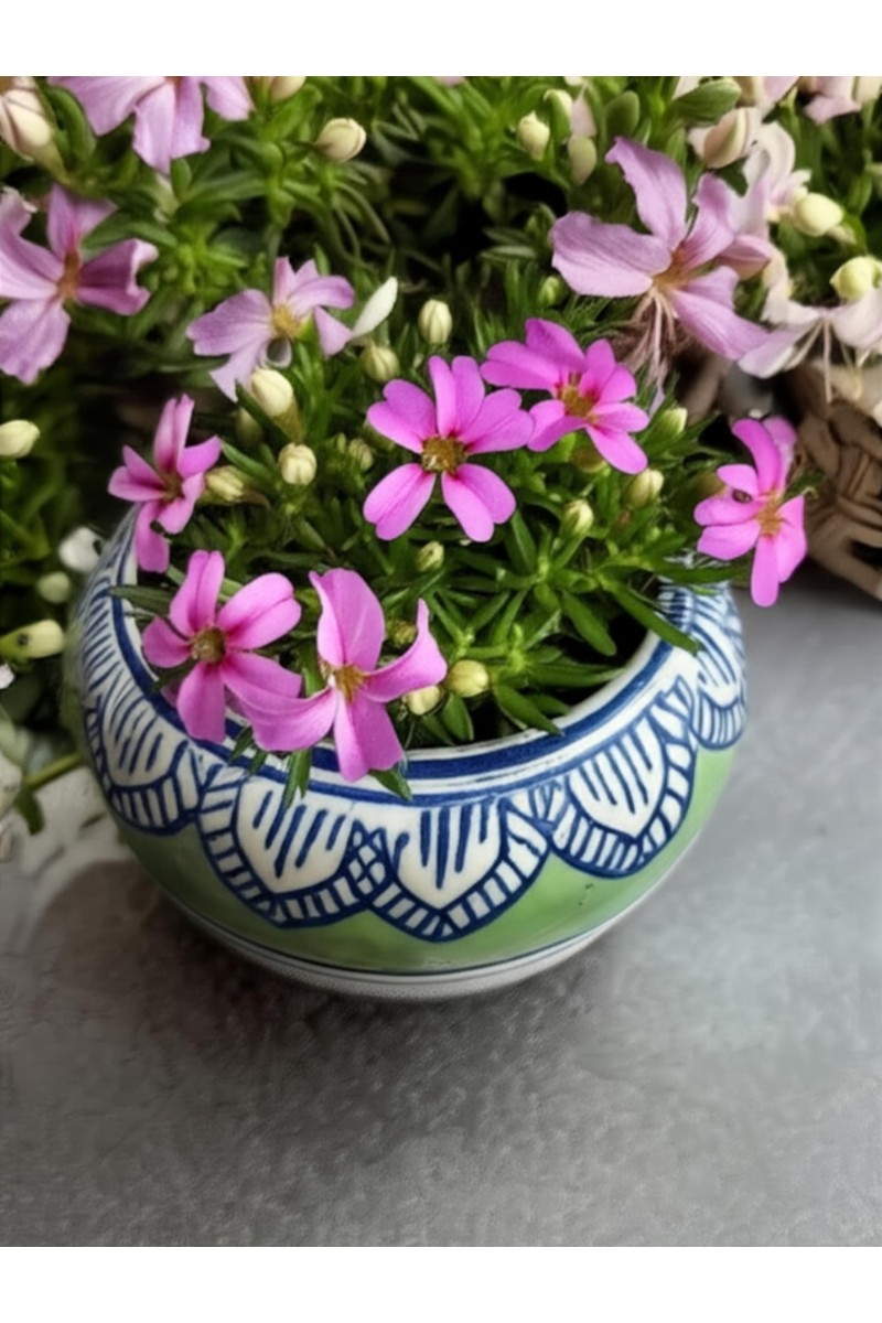 HI TECH Sales Hand-Painted Ceramic Flower Pot Decorative Tabletop Planter for Home & Office | Ethnic Pot Design | Ready-to-Display Indoor Plant Decor