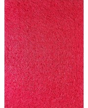 Hitech Sales, Premium Non-Slip Door Mat for Indoor & Outdoor Use – Water-Absorbent and Easy to Clean (RED)