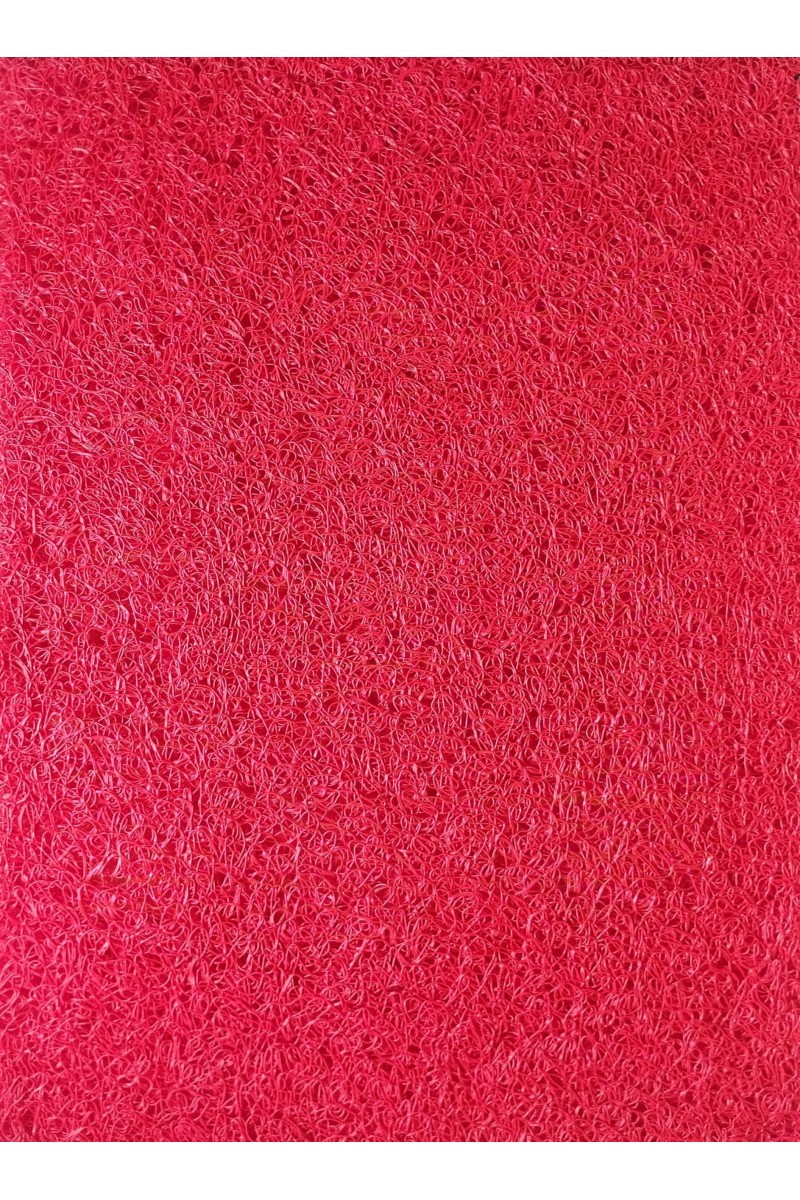 Hitech Sales, Premium Non-Slip Door Mat for Indoor & Outdoor Use – Water-Absorbent and Easy to Clean (RED)