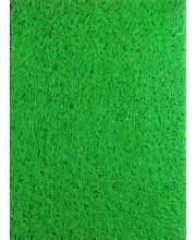 Hitech Sales, Premium Non-Slip Door Mat for Indoor & Outdoor Use – Water-Absorbent and Easy to Clean (Green)