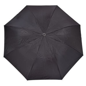 Hitech K.C.PAUL & SONS RAJ 2 Fold Black Polyester Men Umbrella