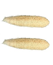 Natural Loofah Sponge for Bath & Body Scrubbing | Eco-Friendly Shower Scrubber for Skin Care & Cleaning (Pack of 2)