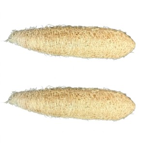 Natural Loofah Sponge for Bath & Body Scrubbing | Eco-Friendly Shower Scrubber for Skin Care & Cleaning (Pack of 2)