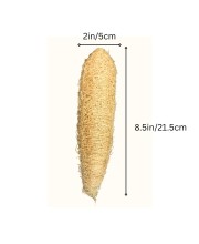 Natural Loofah Sponge for Bath & Body Scrubbing | Eco-Friendly Shower Scrubber for Skin Care & Cleaning (Pack of 2)