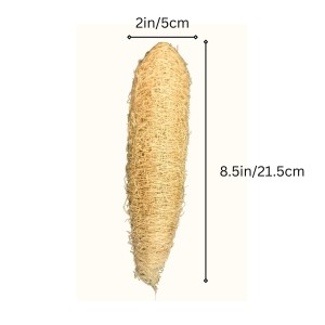 Natural Loofah Sponge for Bath & Body Scrubbing | Eco-Friendly Shower Scrubber for Skin Care & Cleaning (Pack of 2)