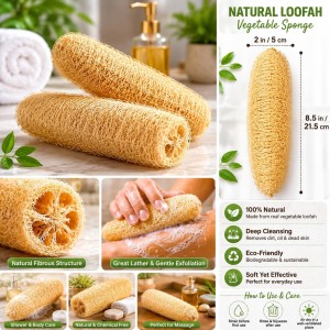 Natural Loofah Sponge for Bath & Body Scrubbing | Eco-Friendly Shower Scrubber for Skin Care & Cleaning (Pack of 2)